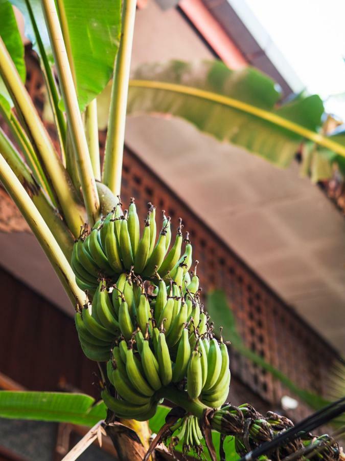 Cool Guesthouse Chiang Mai Buitenkant foto