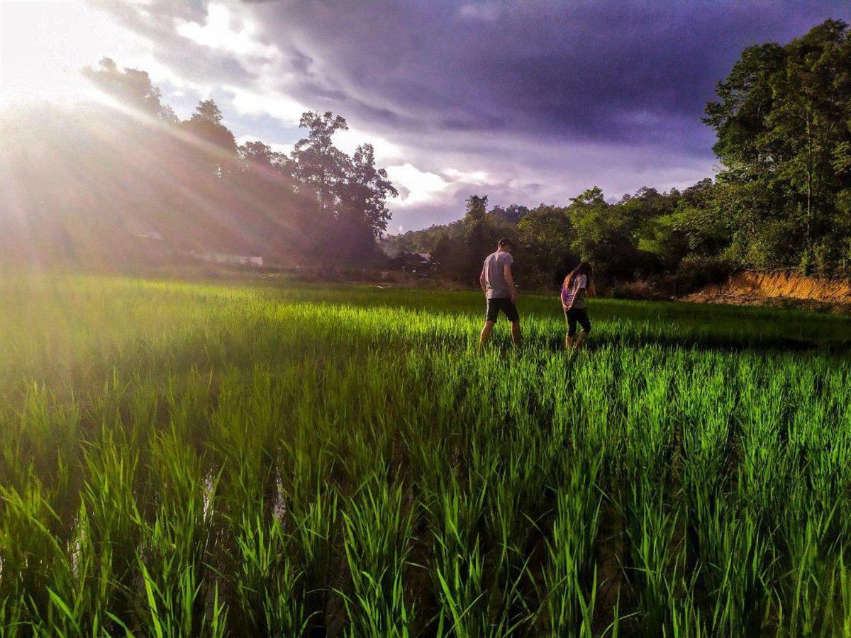 Cool Guesthouse Chiang Mai Buitenkant foto